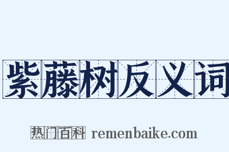 紫藤树反义词是什么意思的图片